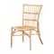 Bali & Pari Ammi Modern Bohemian Natural Brown Rattan Dining Chair 209-12791-ZORO - alternate 1